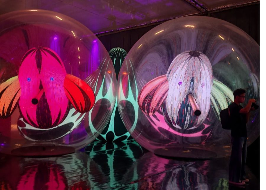 Soar beyond the ordinary as Balloon Museum's Pop Air – Art is