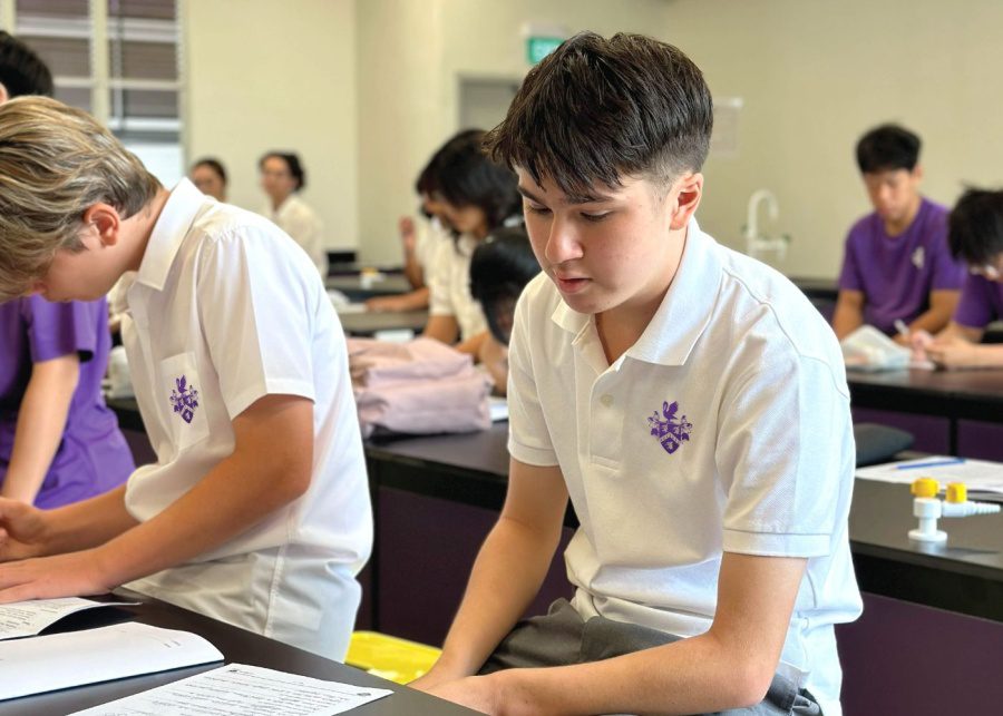 best international schools perse