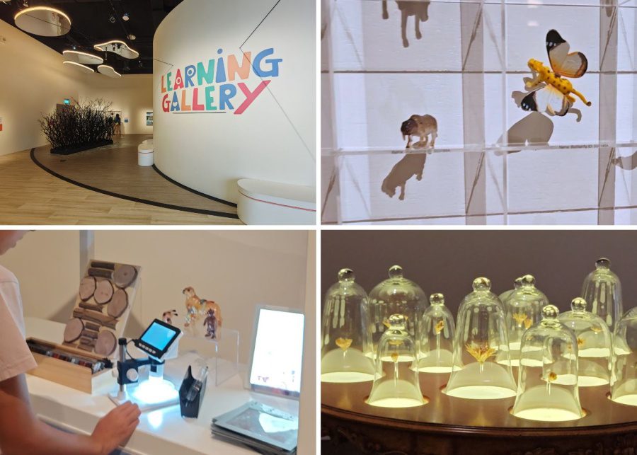SAM Learning Gallery 