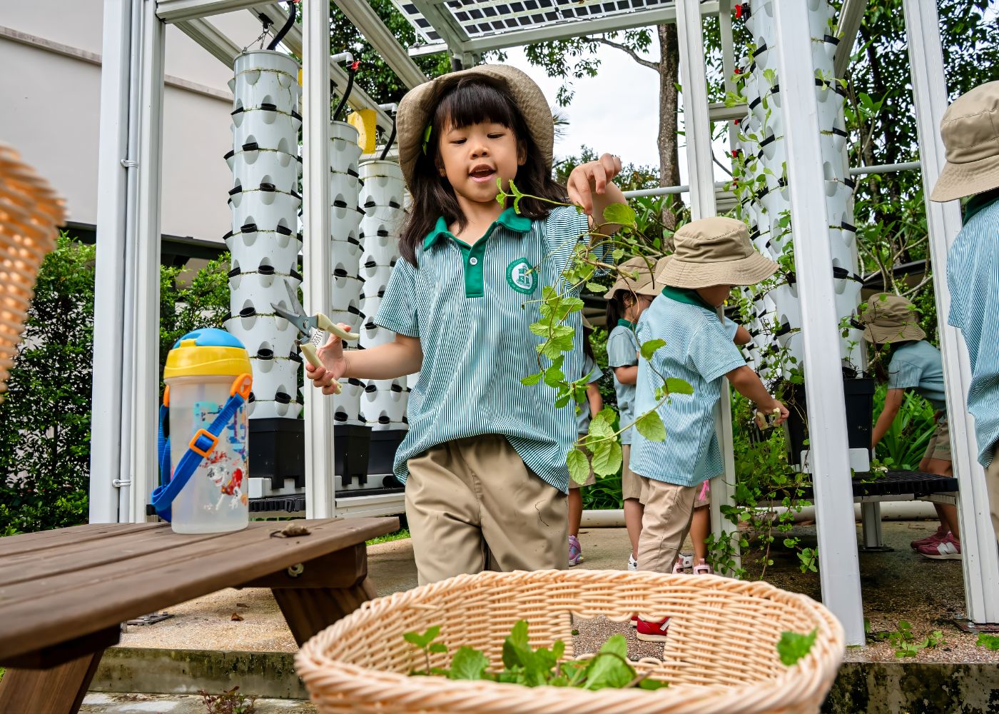 The kids at SJI International Preschool show us what they can learn through aquaponics