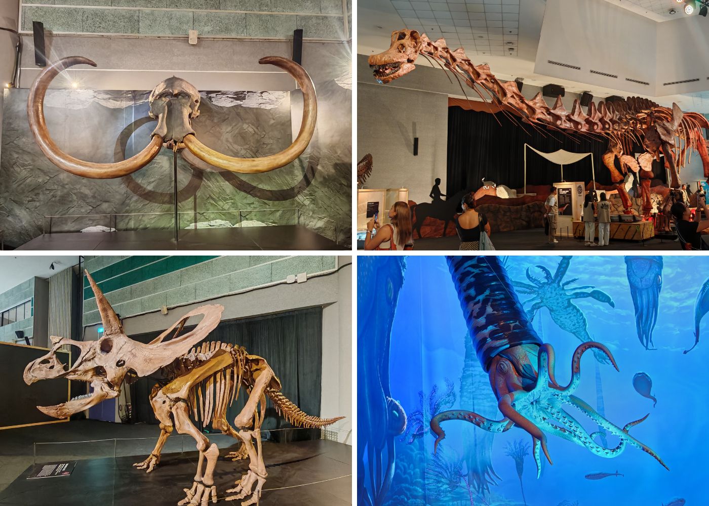 Now open: Dinosaurs, Extinctions, Us at Science Centre Singapore featuring the largest dinosaur ever found