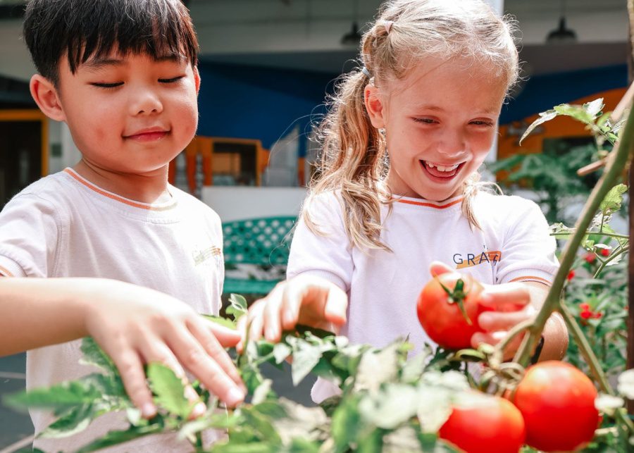 Education Awards 2025 - The Grange Institution