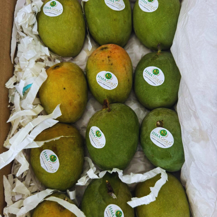 Alphonso Mango Box (UGLY BUT TASTY)