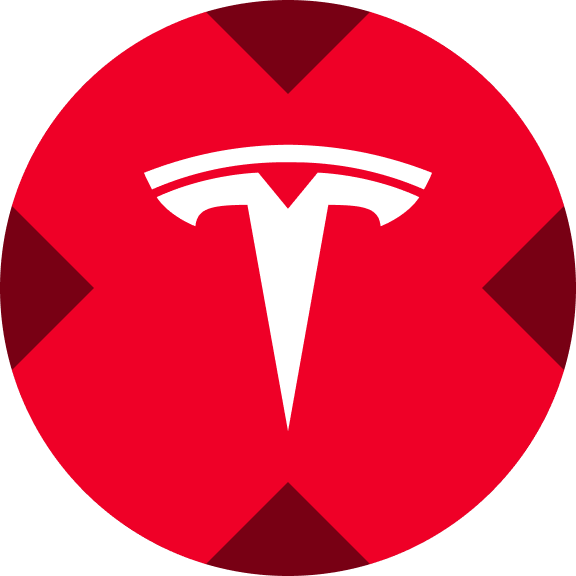 Tesla xStock