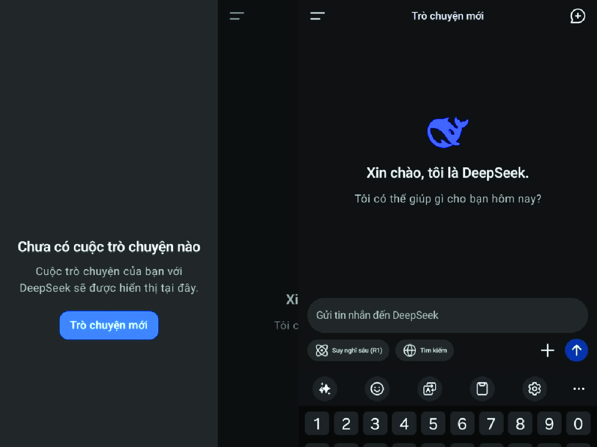 đăng ký deepseek trên điện thoại - 3