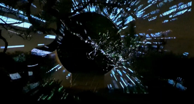 Tree outside LIFE Centre