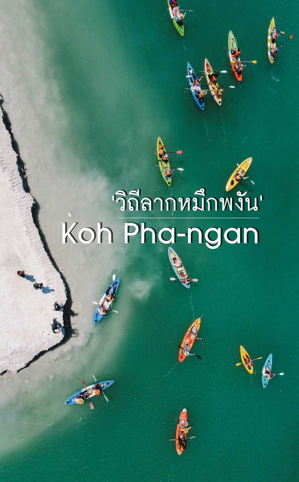 รีวิวเกาะพะงัน : งานวิถีลากหมึกพงัน
