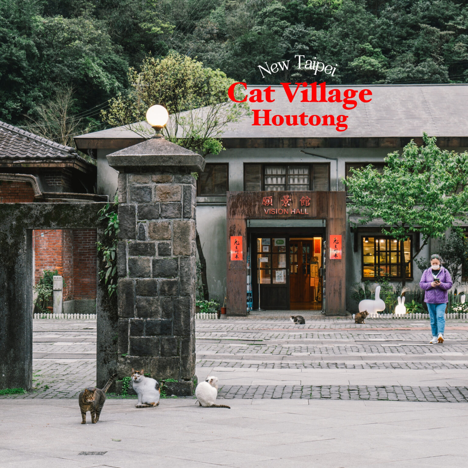 รีวิวไต้หวัน : Houtong Cat Village หมู่บ้านแมวกลางหุบเขา