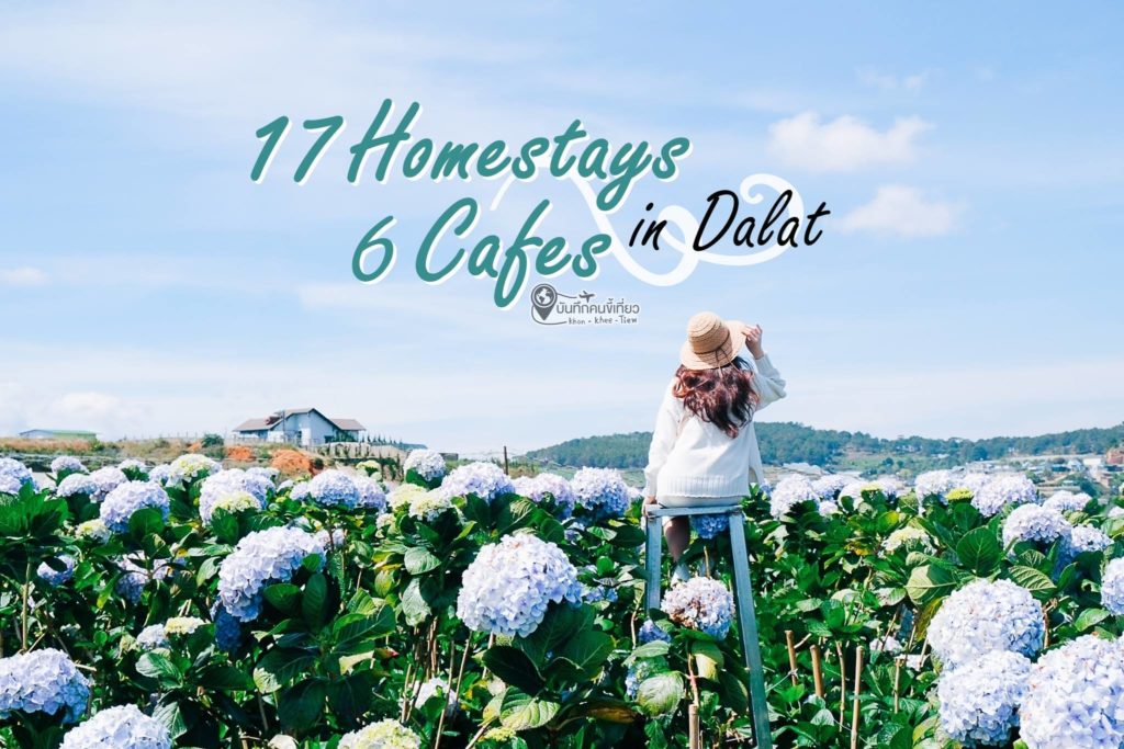 17 Homestays + 6 Cafes in Dalat