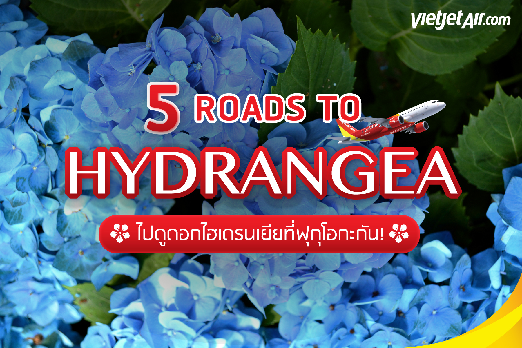 5 ROADS TO ไฮเดรนเยีย! ไปดูดอกไฮเดรนเยียที่ฟุกุโอกะกัน!