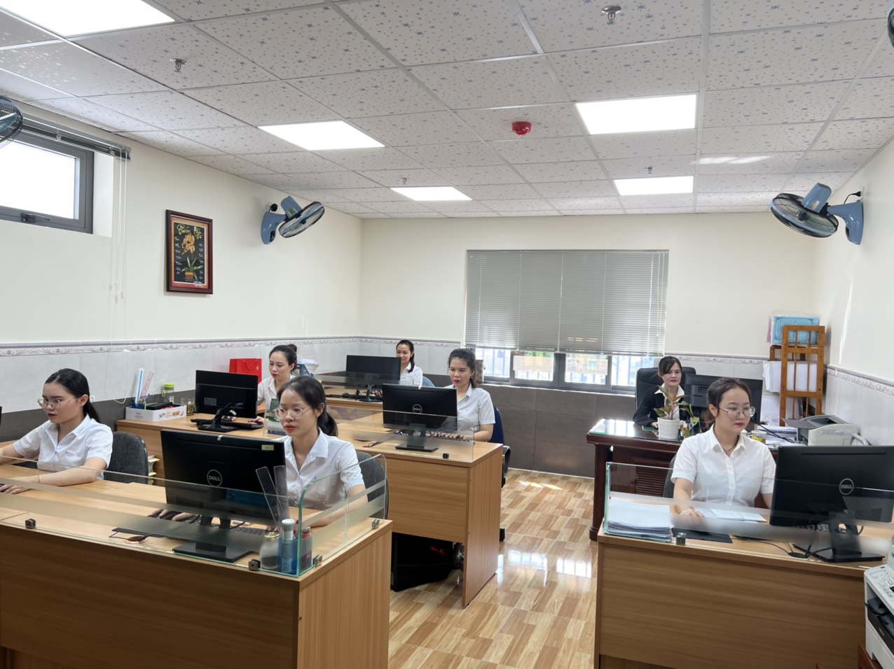 VII. Dịch vụ hỗ trợ đơn thuần