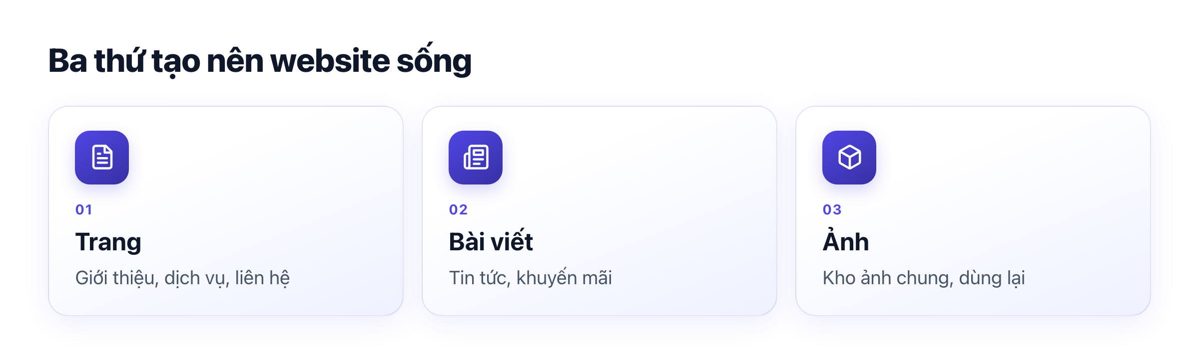 Ba thứ quản trên website: trang giới thiệu, bài viết tin tức, kho ảnh