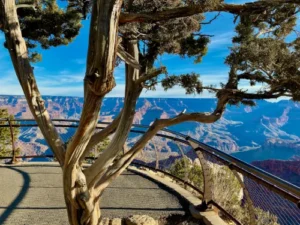 Grand Canyon Tour - Puts A Different Perspective On Life