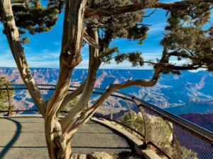 Yosemite National Park - A Must For Visitors To The USA
