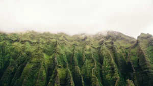 All about Kauai