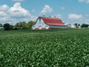 Make Dining Part of Your Branson, Missouri Experience
