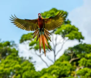 Costa Rica, a Paradise for Eco-Tourism