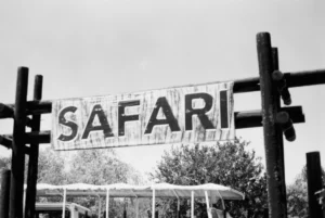 Best places for the African Safari
