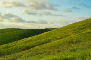Orange County California