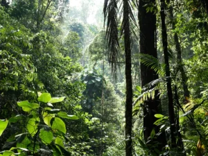 Costa Rica – San Jose and Tamarindo