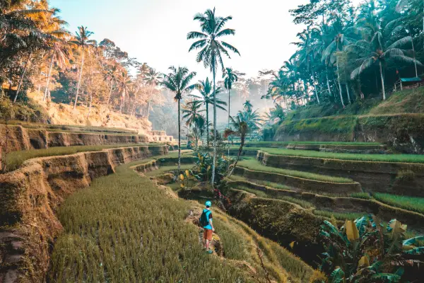 With Cheap Airfare, Travel is Limited Only by Your Imagination