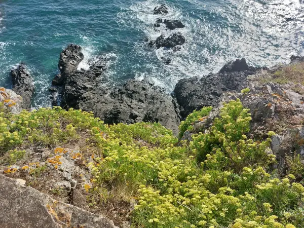 Granville, a Great Summer Resort