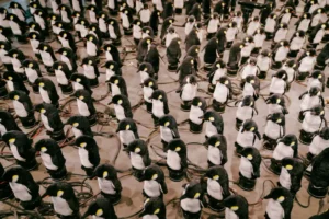 Penguin Parade