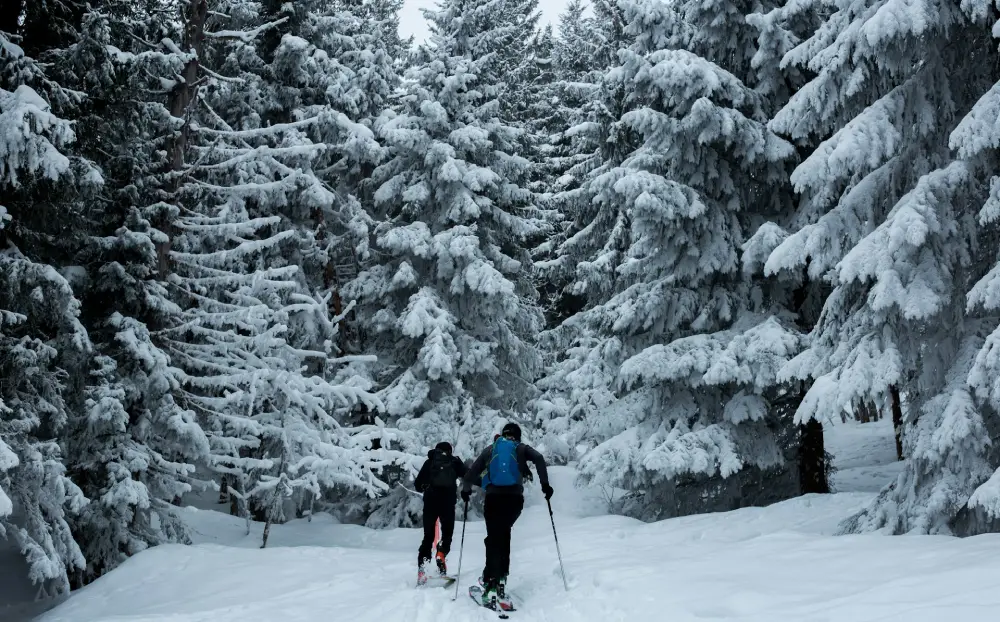 Skiing In France