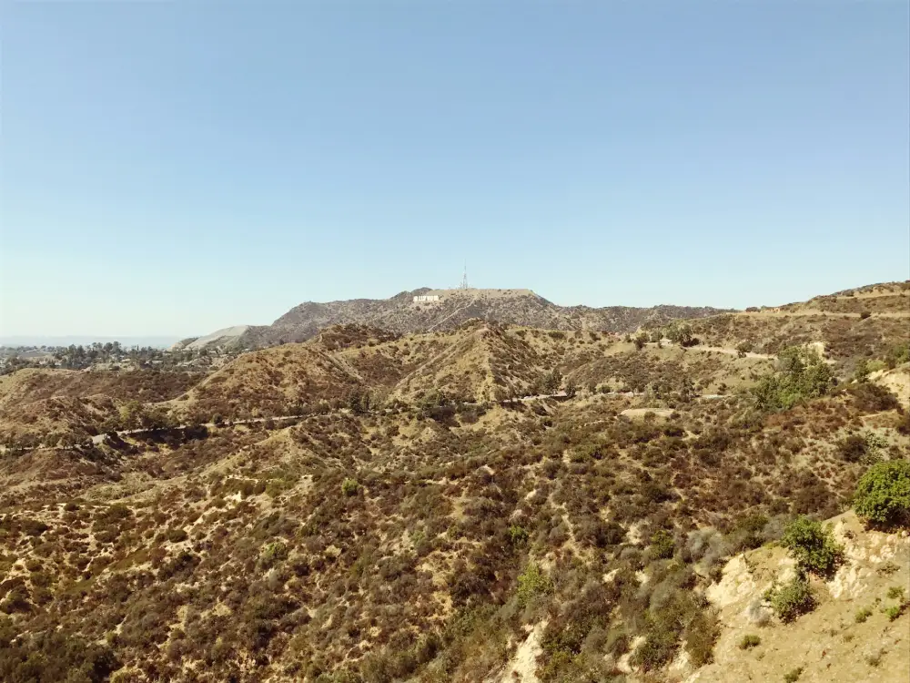 The Luxe Side: Los Angeles