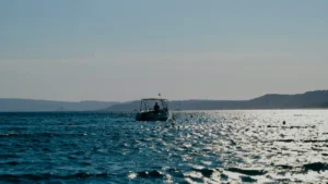The Skipper on a charter yacht