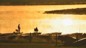 The vacation of a lifetime: Busch Gardens in Tampa , Florida