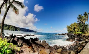 Timeshare Buying Scams