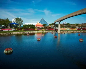 5 Best Packages On Disney World Vacation