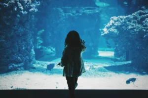 Land And Underwater Wonders In Dallas World Aquarium