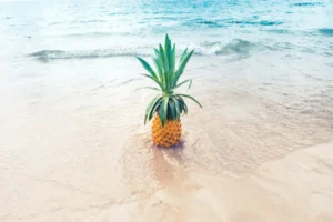 The Grand Pineapple Antigua Guest Reviews Are Important Before Booking Your Vacation