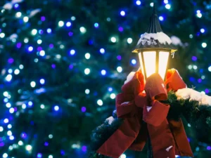 How To Take Some Time Off And Enjoy Holiday Tours