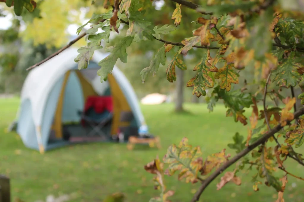 Booking A Camp Site