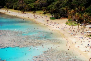 Hawaii Vacations: Is One Right For You?