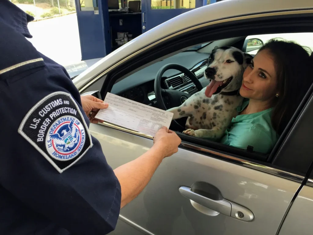 Mexican Auto Insurance - Problems Experienced By Mexico Motorists