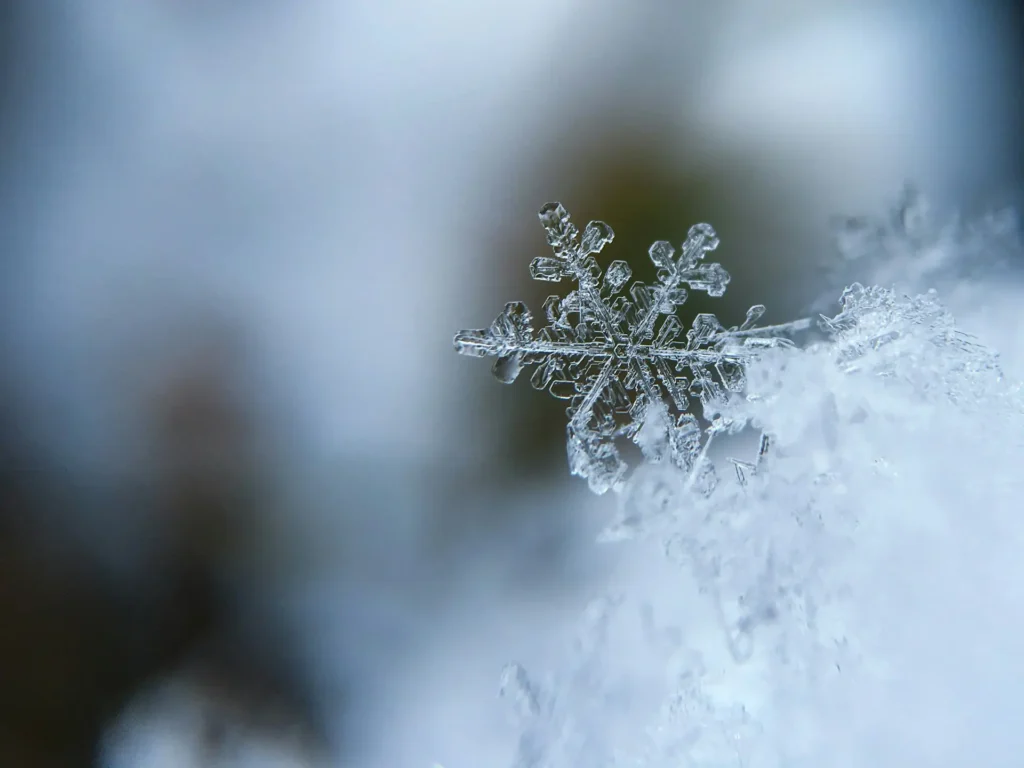 Some Of The Best Winter Trips For Everyone To Enjoy