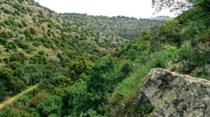 A Kenya Safari Holiday Based In Chyulu Hills National Park