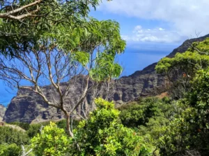 5 Tips To Help You Find An Affordable Kauai Vacation Rental