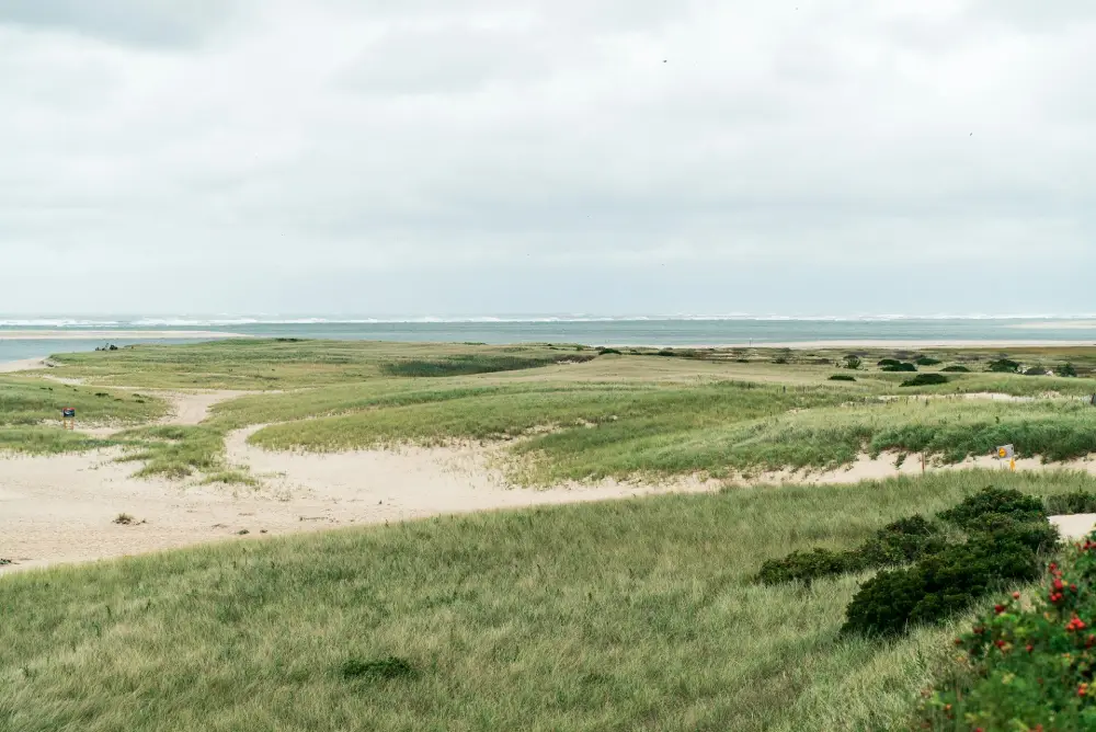 Visiting Cape Cod