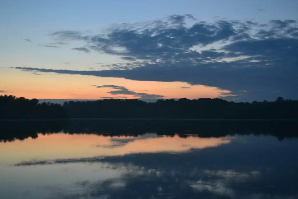 Delaware: Excellent Ocean Viewing Opportunities