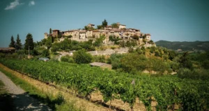 The Chianti Region: Wine And Territory