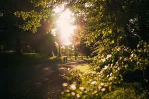 Travel Savings For United Kingdom Visitors