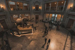 Visit Some Great Museums While You Are In Orlando
