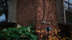 Leicester Tourist Information And Guide
