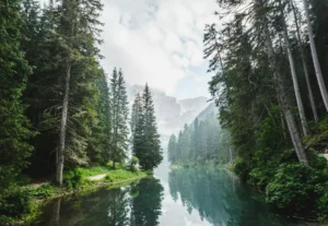Lake Tahoe Summer Guide