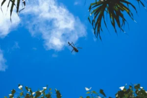 Maui Villa Rentals: How And Why You Should Research Nearby Activities